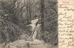 Ecclesbourne Glen, Hastings Country Park - Posted 15th October 1905 - Includes message - Flickr - drew anywhere